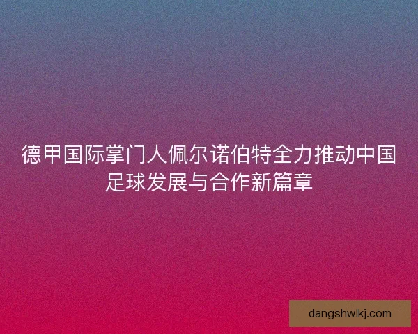 德甲国际掌门人佩尔诺伯特全力推动中国足球发展与合作新篇章 德甲国际掌门人佩尔诺伯特全力推动中国足球发展与合作新篇章