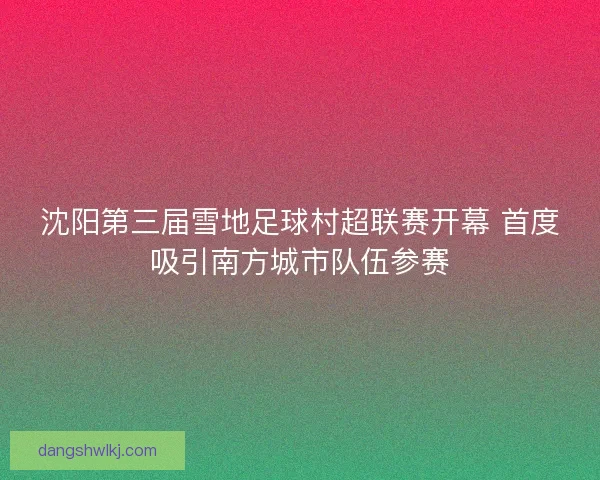 沈阳第三届雪地足球村超联赛开幕 首度吸引南方城市队伍参赛