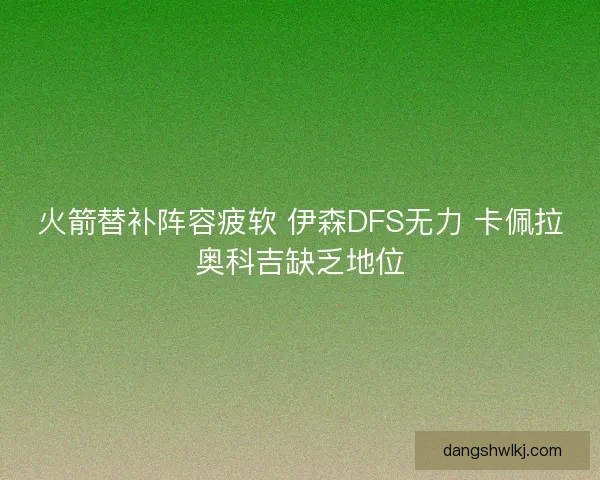 火箭替补阵容疲软 伊森DFS无力 卡佩拉奥科吉缺乏地位 火箭替补阵容疲软 伊森DFS无力 卡佩拉奥科吉缺乏地位